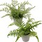 2PCS Fake Plants Potted Artificial Plants Greenery Faux Fern Eucalyptus Décor Plant for Indoor Home Office Bathroom Harmhouse Decoration